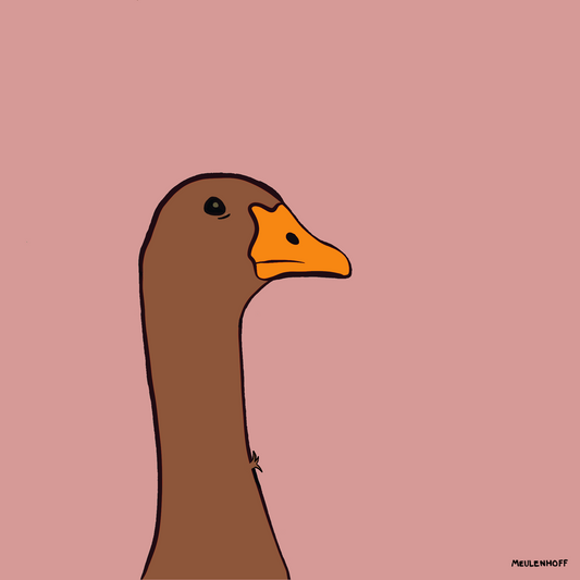 Brown Goose